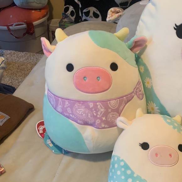Amazing squishmallow cow bundle , belana the cow bundle , all NWT AND HTF - Picture 4 of 7